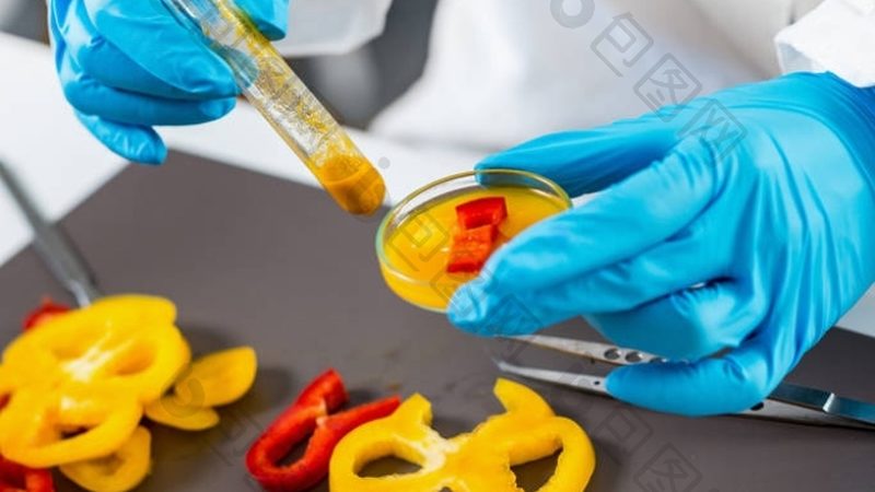 北京高端速冻食品：探寻品质与健康的完美融合